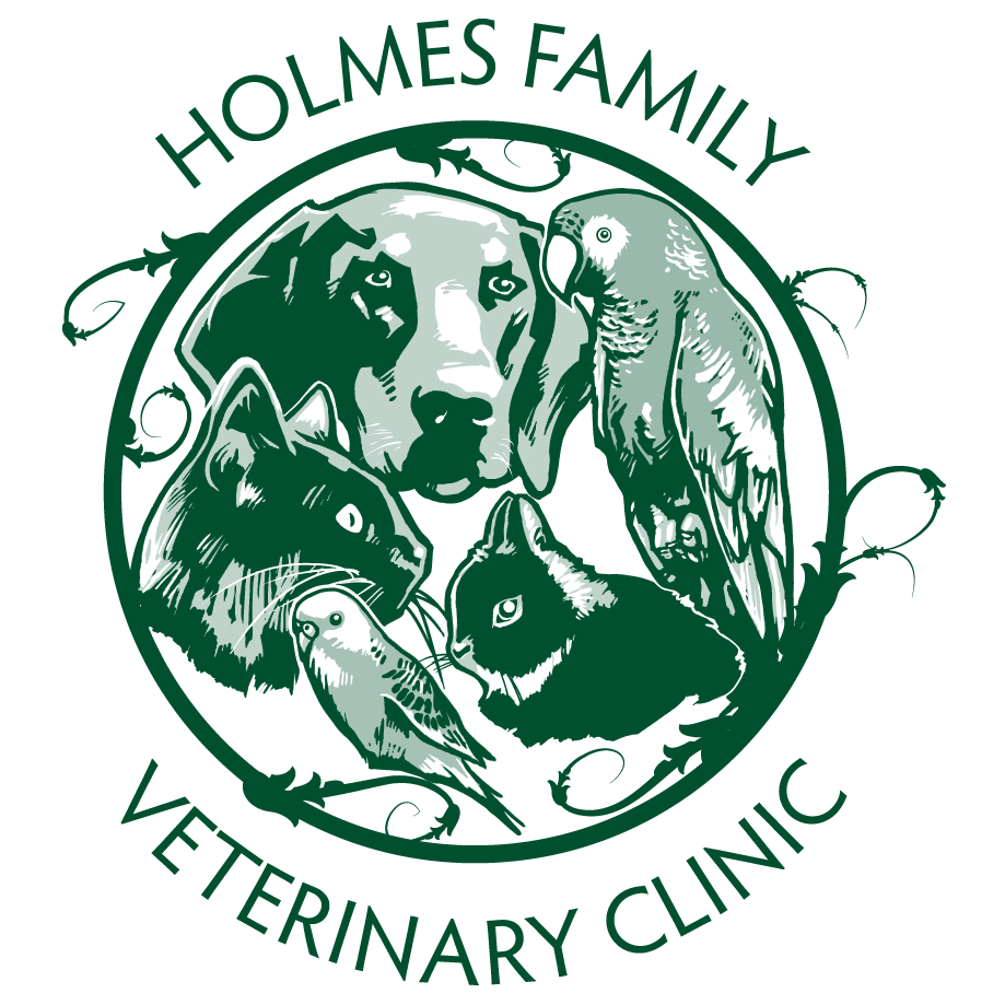 Holmes Family veterinary clinic logo